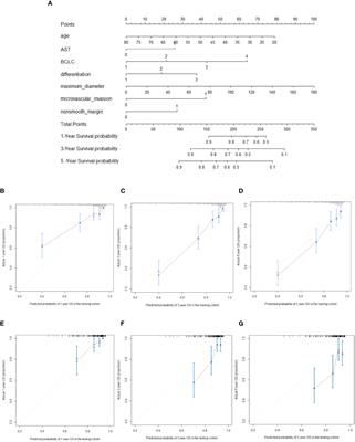 Nomograms for Predicting Hepatocellular Carcinoma Recurrence and Overall Postoperative Patient Survival